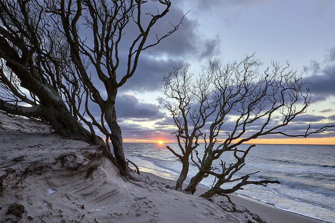 Sonnenuntergang am Weststrand, Darß, Ostseeküste, Mecklenburg Vorpommern, Deutschland