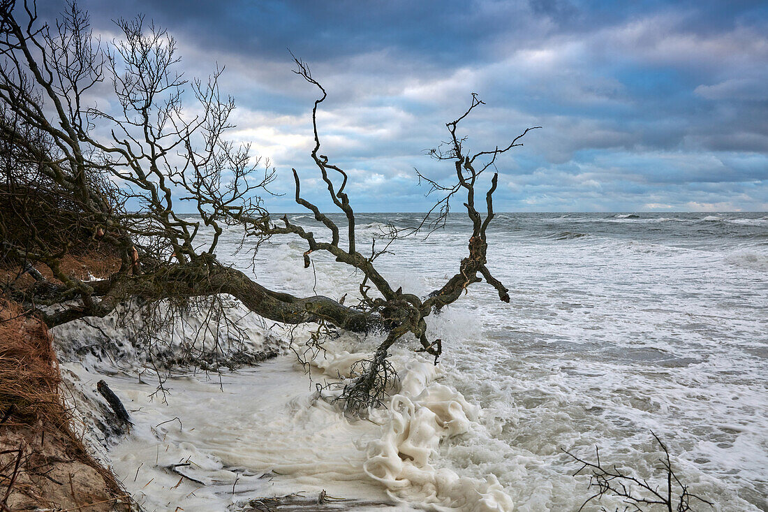 Sturm flood water on Weststrand beach, Darss, Baltic sea coast, Mecklenburg Vorpommern