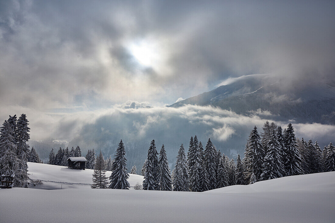 Winter in den Alpen bei Lenzerheide, Graubünden, Schweiz