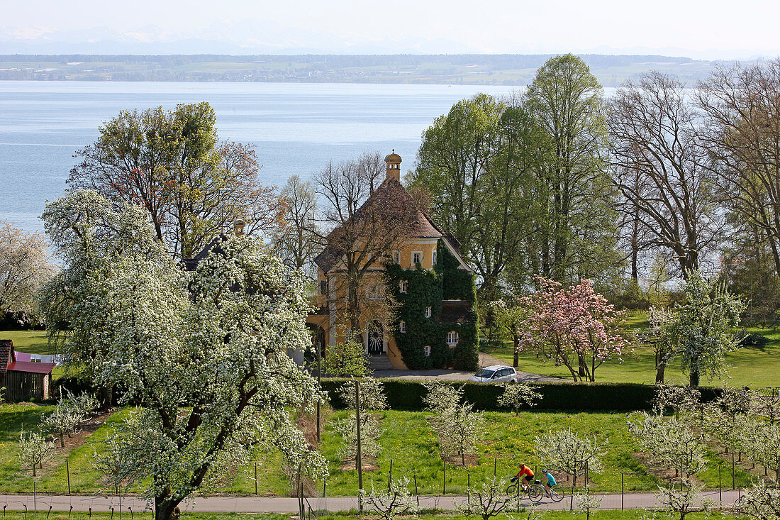 Villa am Bodensee, bei Hagnau, Baden-Württemberg