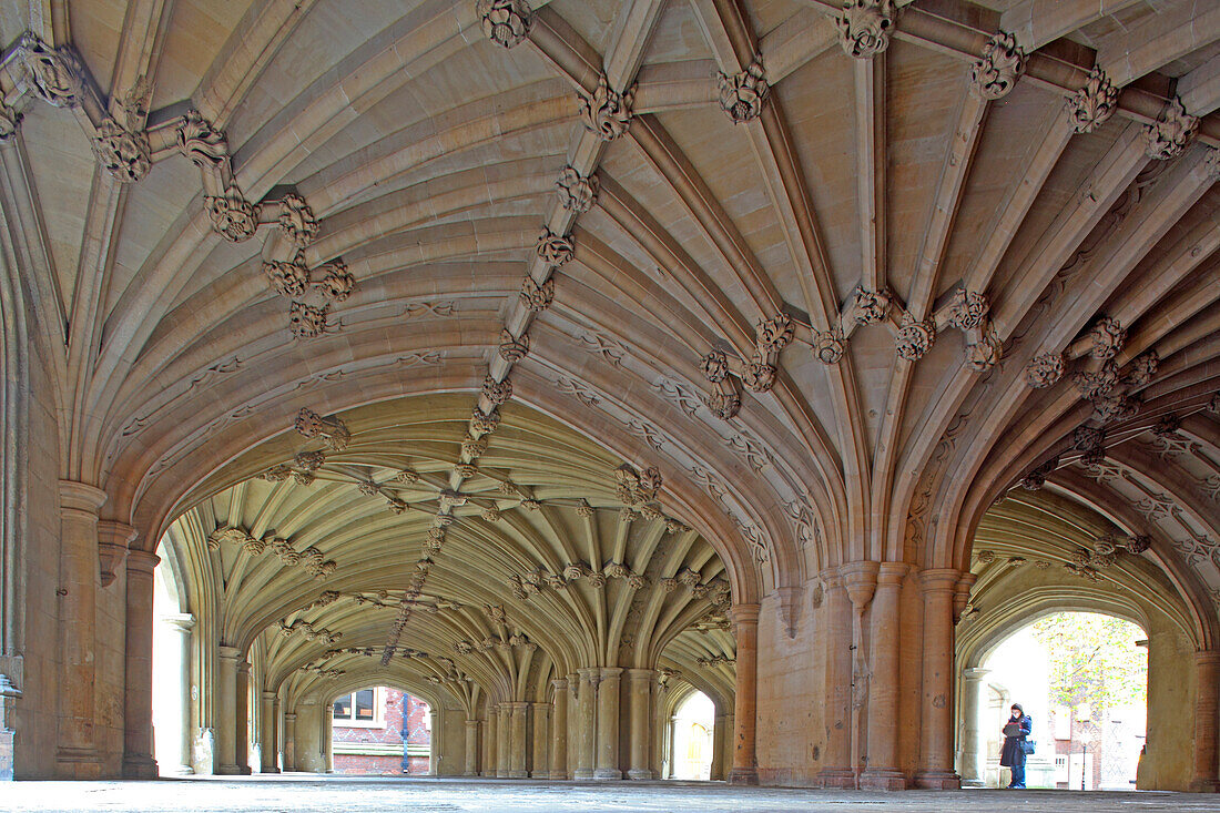 Lincoln Inn Vaulted Ceiling,Temple, City of London, London, Great Britain