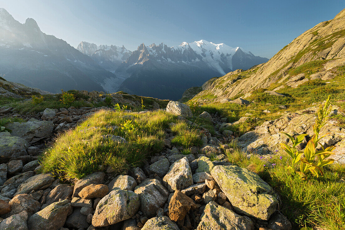 Aiguille Verte, Grandes Jorasses, Mont Blanc, Haute-Savoie, Frankreich