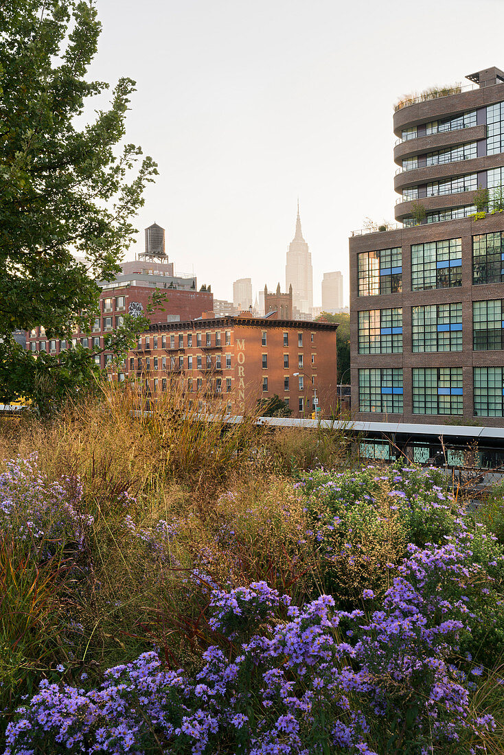 The High Line Park, Empire State Building, Manhatten, New York City, New York, USA