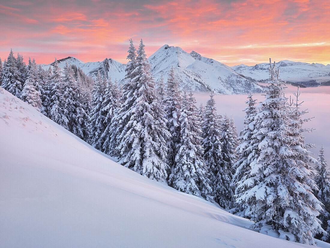 Blick vom Kreuzkogel zum Laderdinger Gamskarspitz, Dorfgastein, Gasteinertal, Pongau, Salzburg, Österreich