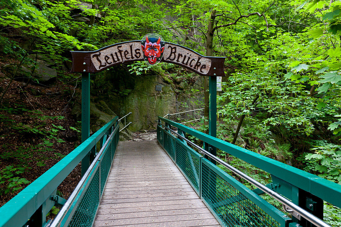 Teufelsbrücke, Bodetal, hiking trail, Harz, summer, valley, forest, Saxony-Anhalt, Germany