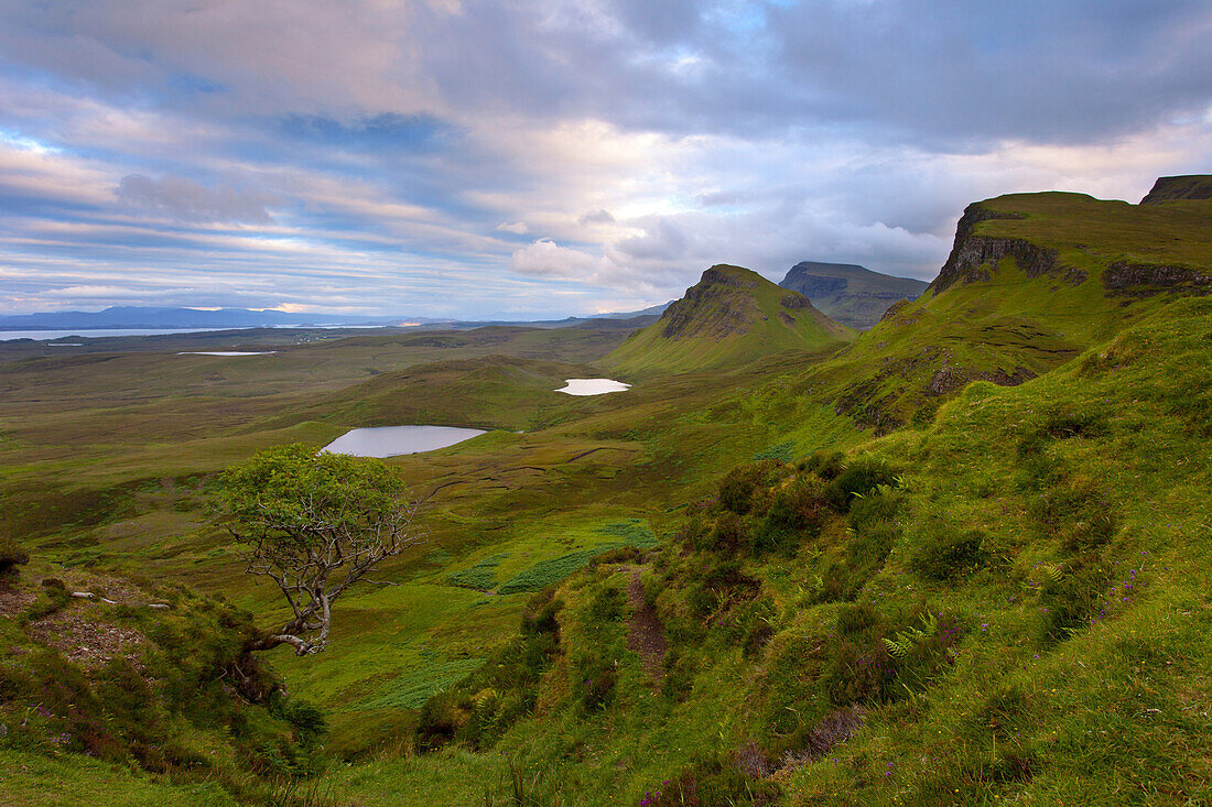 Sonnenuntergang, Baum, Aussicht, Ilse of Skye, Quiraing, Highlands, Schottland