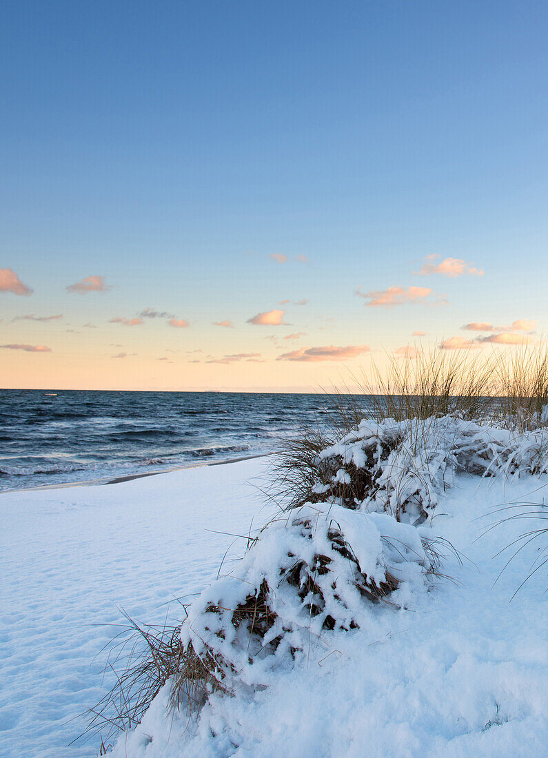 Sunrise, Beach, Winter, Snow, Baltic Sea, Darss, Zingst, Germany