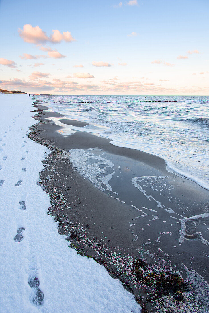 Sunrise, Beach, Winter, Snow, Stroll, Baltic Sea, Darss, Zingst, Germany