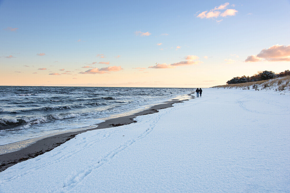 Sunrise, Beach, Winter, Snow, Stroll, Baltic Sea, Darss, Zingst, Germany