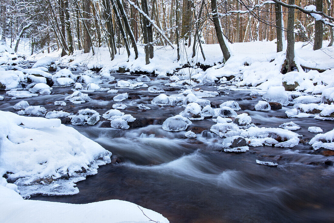 Forest, River, Cold Bode, Winter, Snow, Ice, Oberharz, Germany