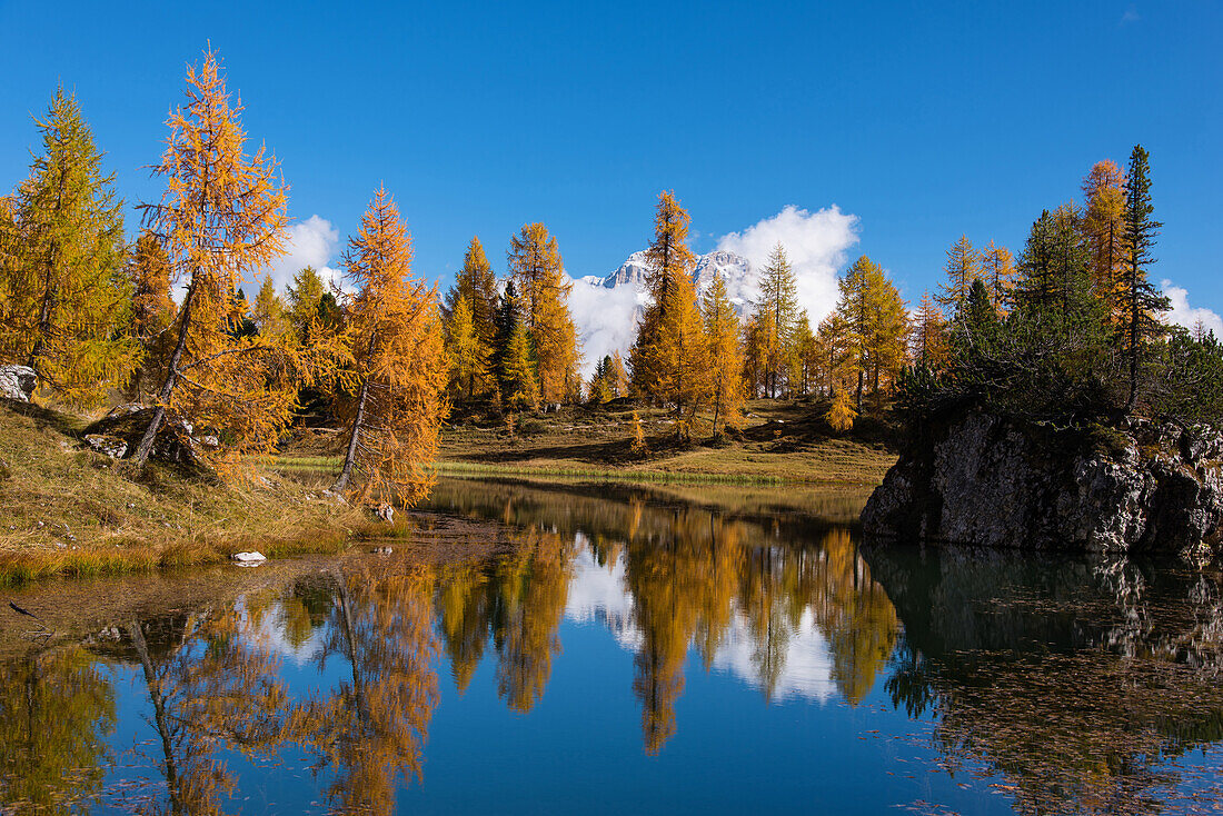 Bergsee, Spiegelung, Herbst, Laubfärbung, Lago Federa, Dolomiten, Italien