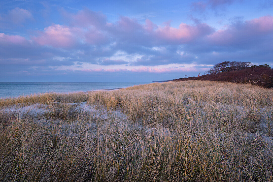 Dune, Sunset, Coast, Baltic Sea, Mecklenburg, Germany, Europe