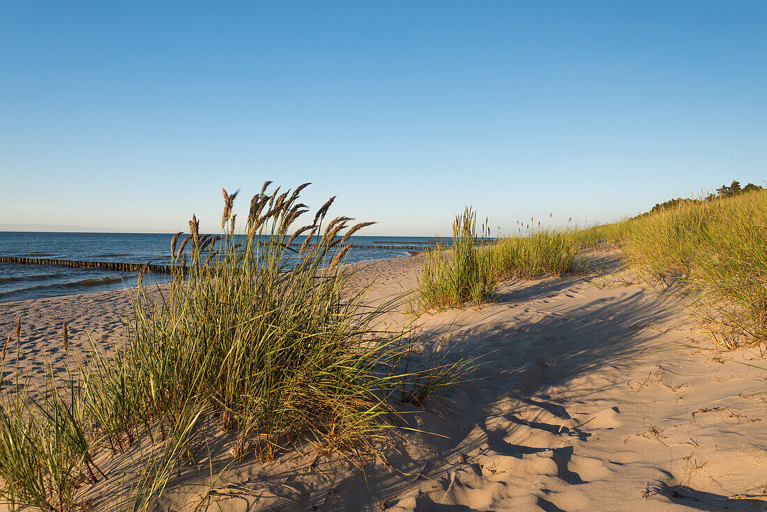 Summer, Beach, Dunes, Baltic Sea, Mecklenburg, Germany, Europe