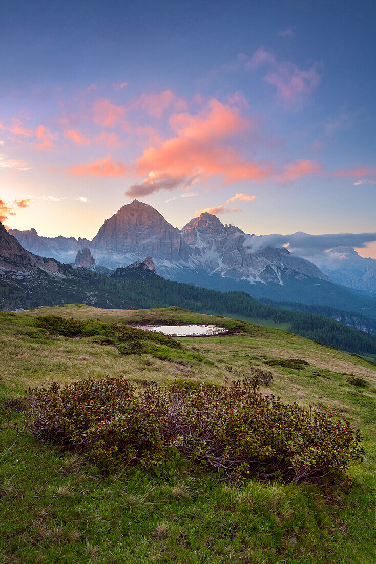 Passo Giau, Monte Cristallo, Formin, Wiese, Dolomiten, Alpen, Italien, Europa