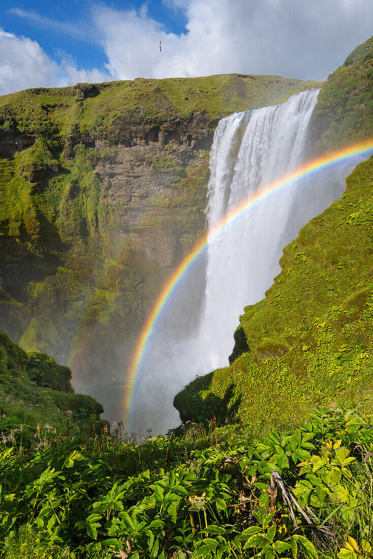 Skogarfoss, Skogar, Waterfall, Rainbow, Cliffs, Iceland, Europe