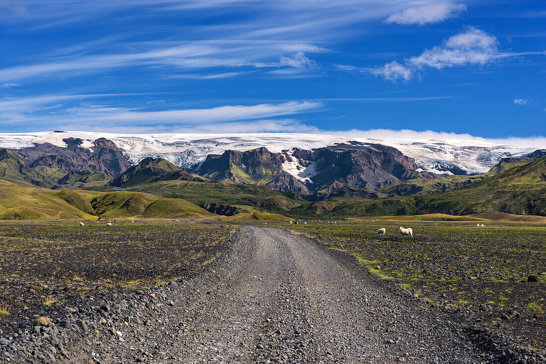 Road, Sheep, Wilderness, Myrdals Glacier, Mountains, Porsmoerk, Iceland, Europe