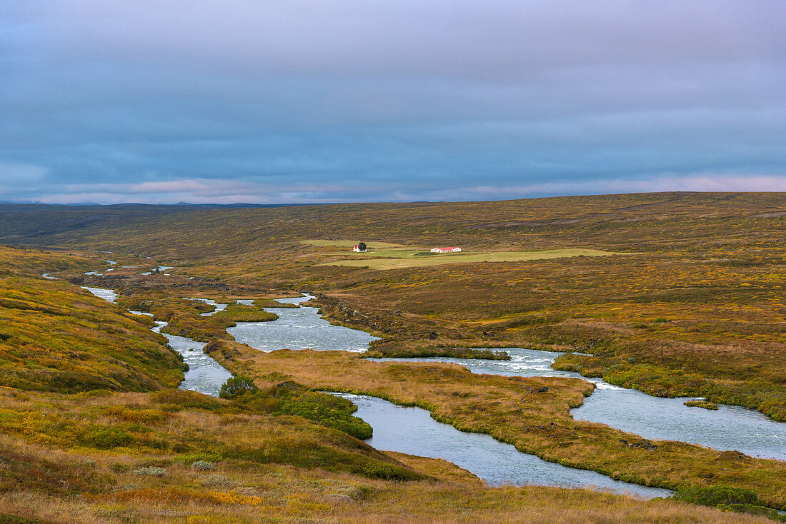 Hochland, Ebene, Fluss, Laxa, Hof, Häuser, Tundra, Island, Europa