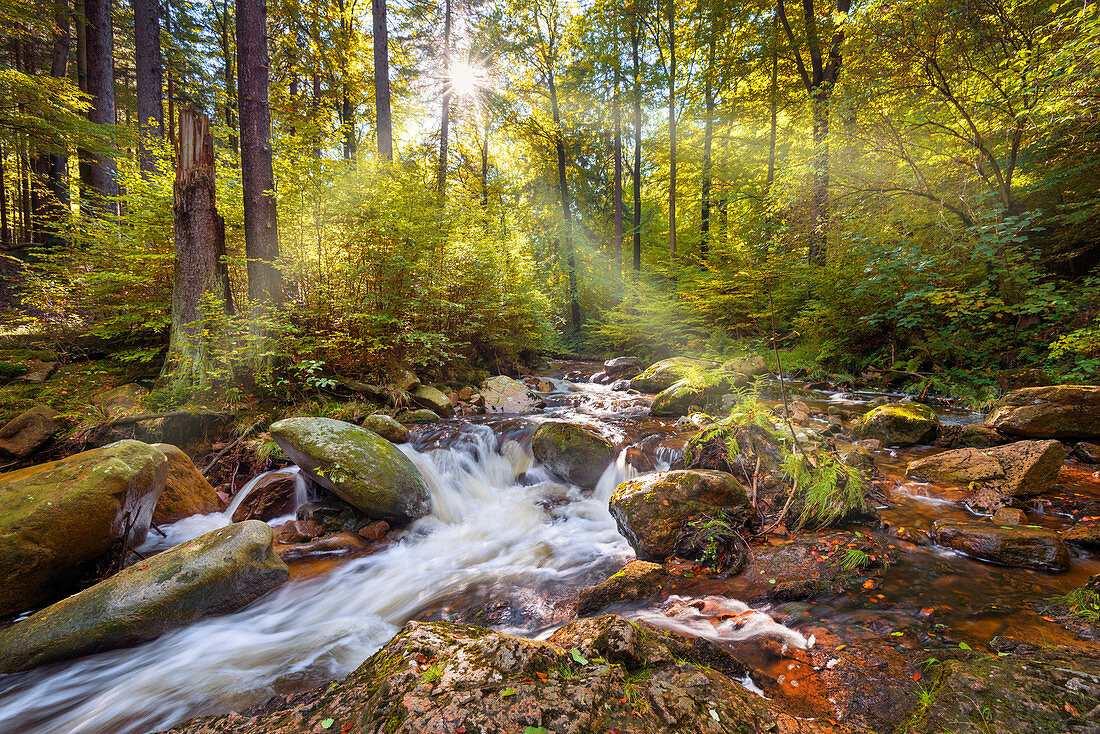 Ilse, Ilse Valley, River, Forest, Sun, Harz, Autumn, Saxony-anhalt, Germany, Europe