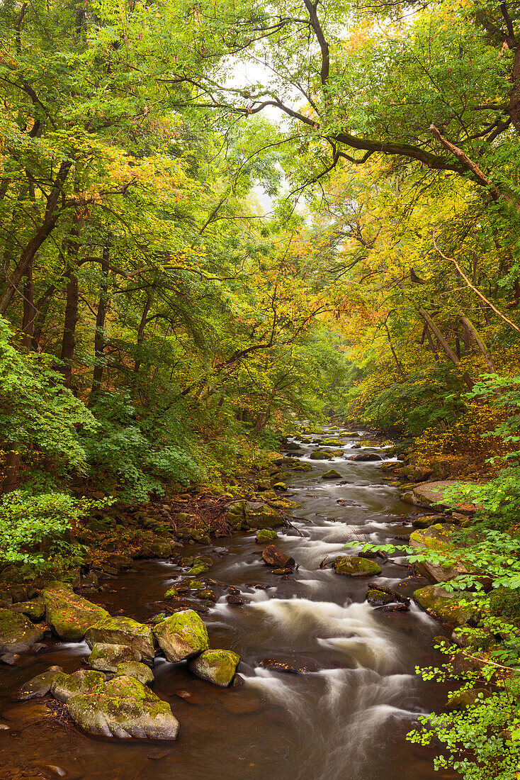 Bode, Bode Valley, River, Forest, Autumn Foliage, Autumn, Harz, Saxony-anhalt, Germany, Europe