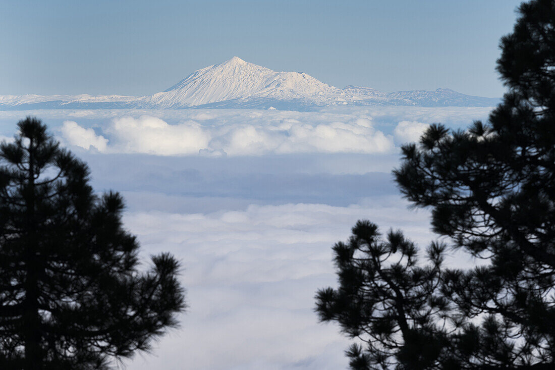 Blick nach Teneriffa, Vulkan Teide, Insel La Palma, Kanarische Inseln, Spanien