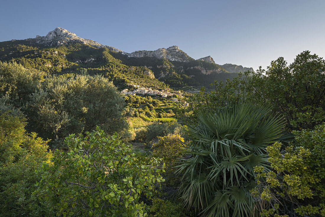 Estellencs, Mallorca, Balearen, Spanien