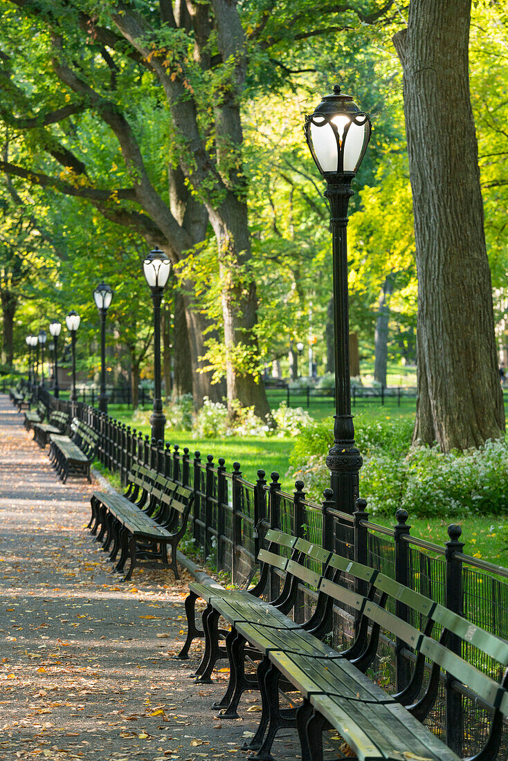 The Mall, Central Park, Manhattan, New York City, New York, USA