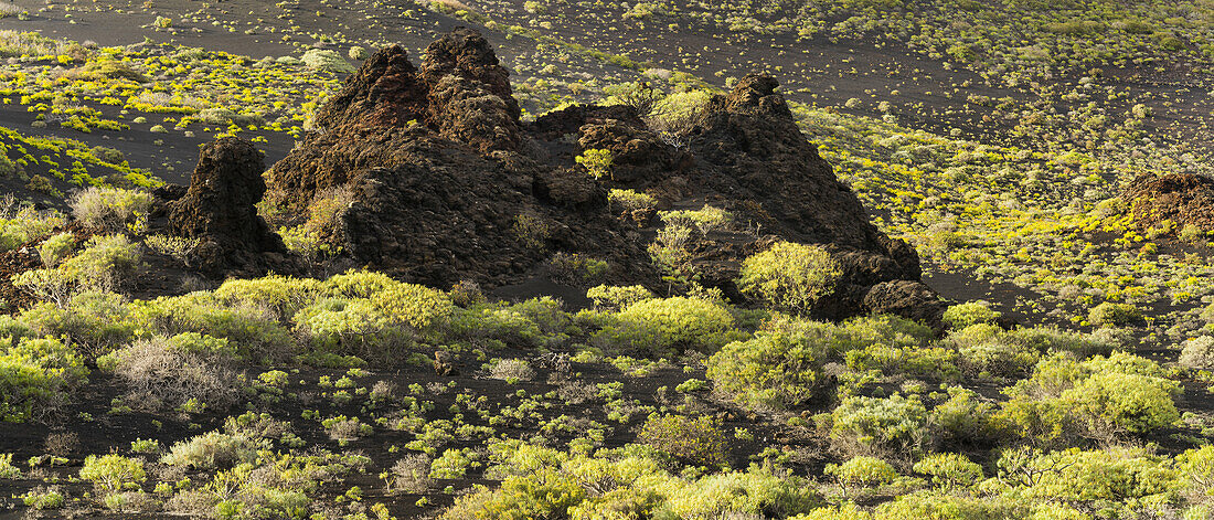 Vulkanlandschaft beim Pico de Tablas, Insel La Palma, Kanarische Inseln, Spanien