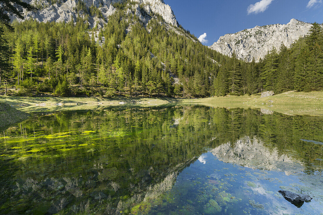 Green lake, Oberort, Hochschwab region, Styria, Austria