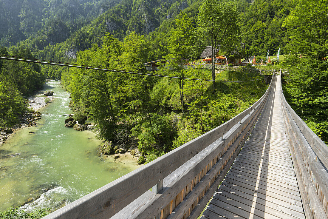 Bridge over the Salza at the Wasserlochklamm, Styria, Austria