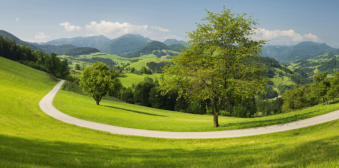 oberösterreichisches Alpenvorland nahe Maria Neustift, Oberösterreich, Österreich