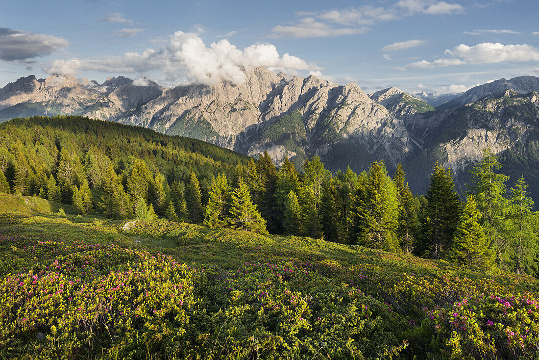Blick vom Hochstein zu den Lienzer Dolomiten, Osttirol, Tirol, Österreich