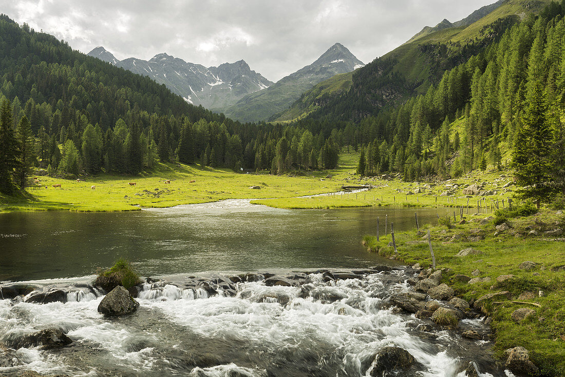 Debantbach, Debanttal, National Park Hohe Tauern, East Tyrol, Tyrol, Austria