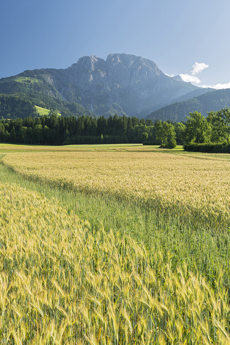 Zugspitze, Gailtal Alps, Carinthia, Austria