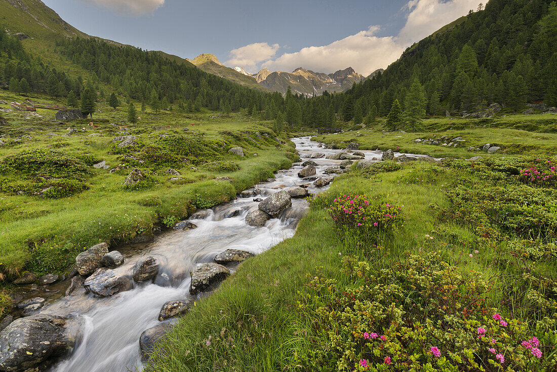 Debantbach, Debanttal, Nationalpark Hohe Tauern, Osttirol, Tirol, Österreich