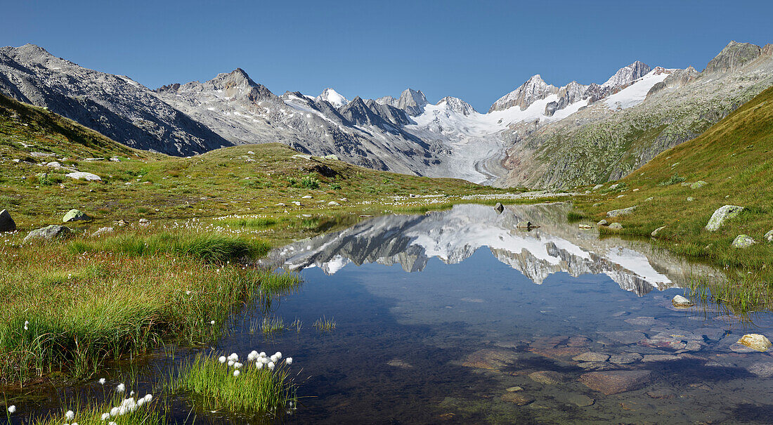 Oberaarhorn, Oberaargletscher, Triebtenseewli, Grimselpass, Berner Oberland, Schweiz