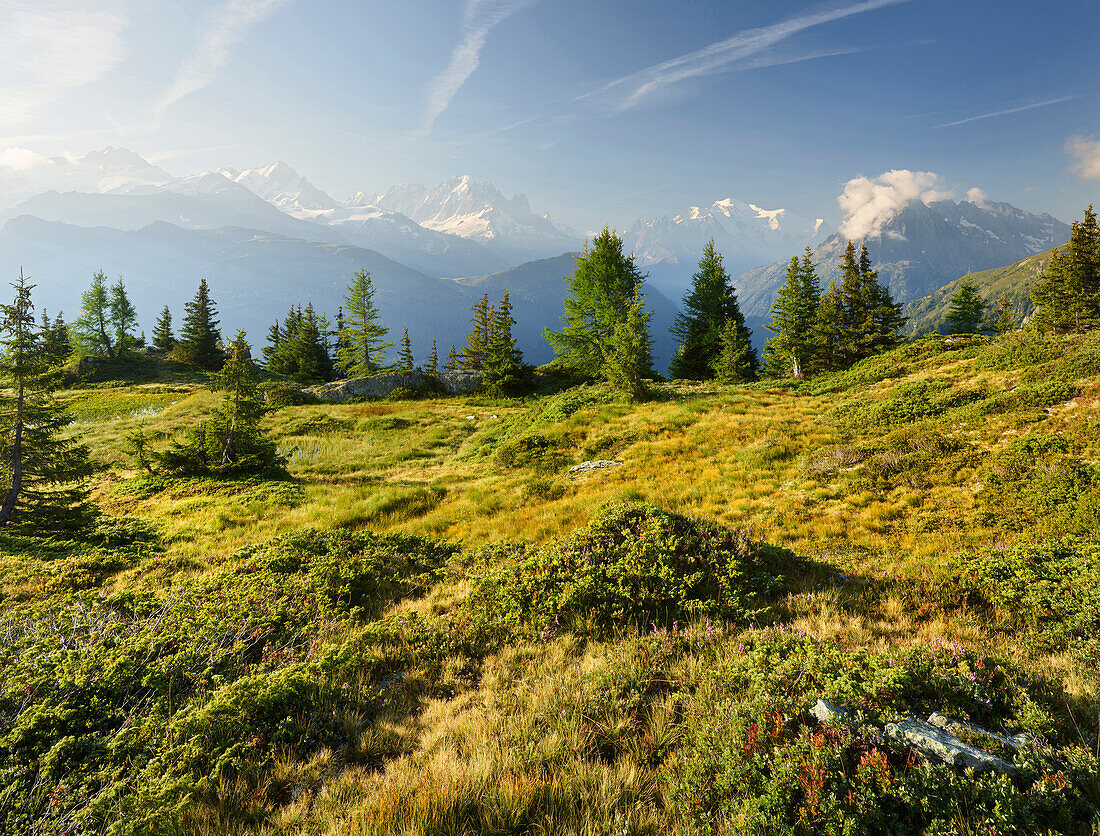 Émosson, Wallis, Schweiz (Vordergrund), Aiguille Verte, Mont Blanc, Haute-Savoie, Frankreich (Hintergrund)