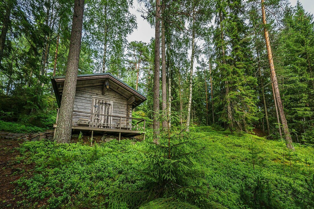 Cabin in the forest, Hogland Island, Finland.