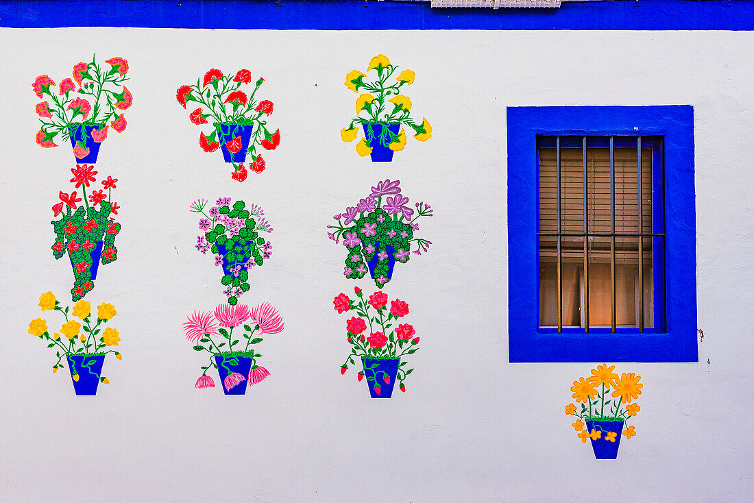 House facade painted with motifs typical courtyards. Córdoba, Andalusia, Spain, Europe.