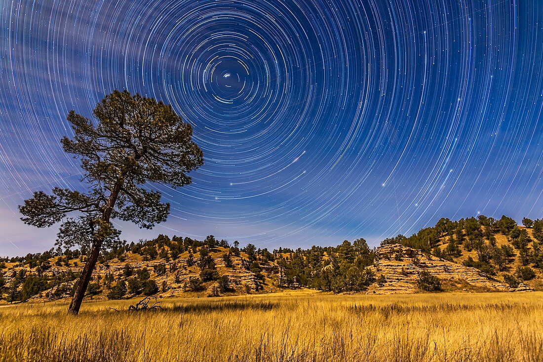 Circumpolar star trails over the moonlit Mimbres Valley near Lake Roberts in the Gila National Forest, in southern New Mexico. Illumination is from the waxing gibbous Moon. Polaris is at upper left, while the stars of the Big Dipper are rising at right, w