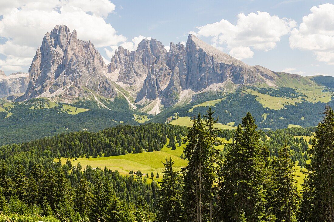 The Dolomites with trees and forest, Selva, val Gardena, Dolomites, Italy.