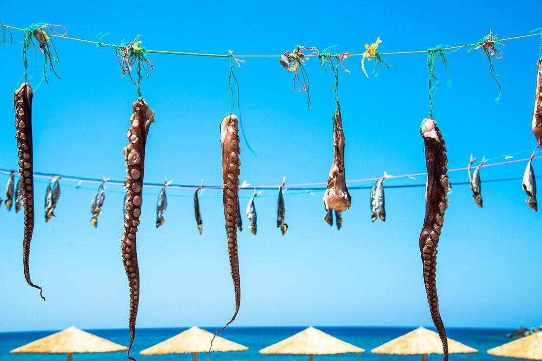 Line with drying sardines and octopus at beach in Greece