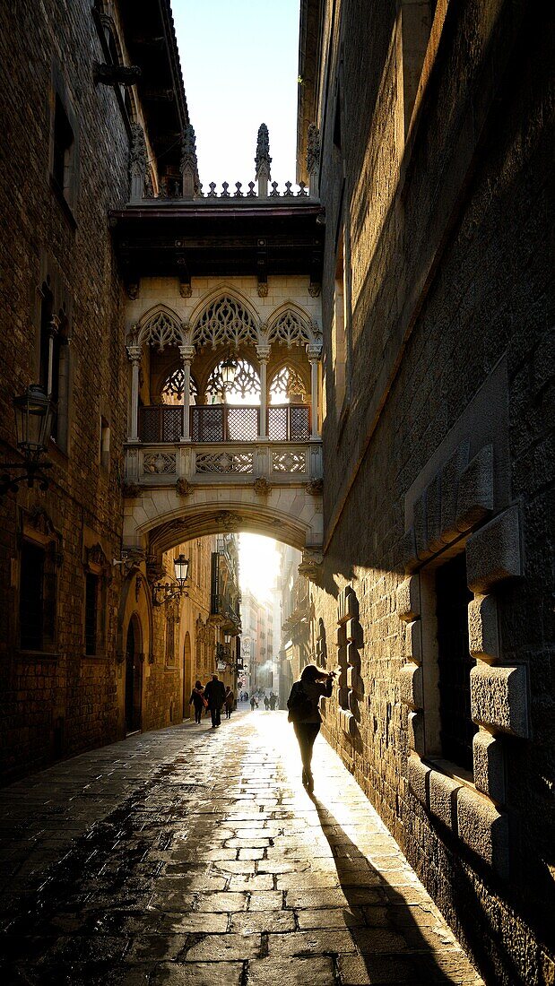 Spain, Catalonia, Barcelona, Barri Gotic (Barrio Gotico, Gothic Quarter), Carrer del Bisbe (Bishop's street), neo-Gothic bridge Pont del Bisbe (Bishop's bridge).