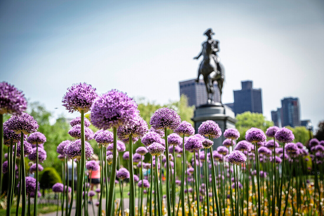 Boston Common George Washington monument at Massachusetts USA.