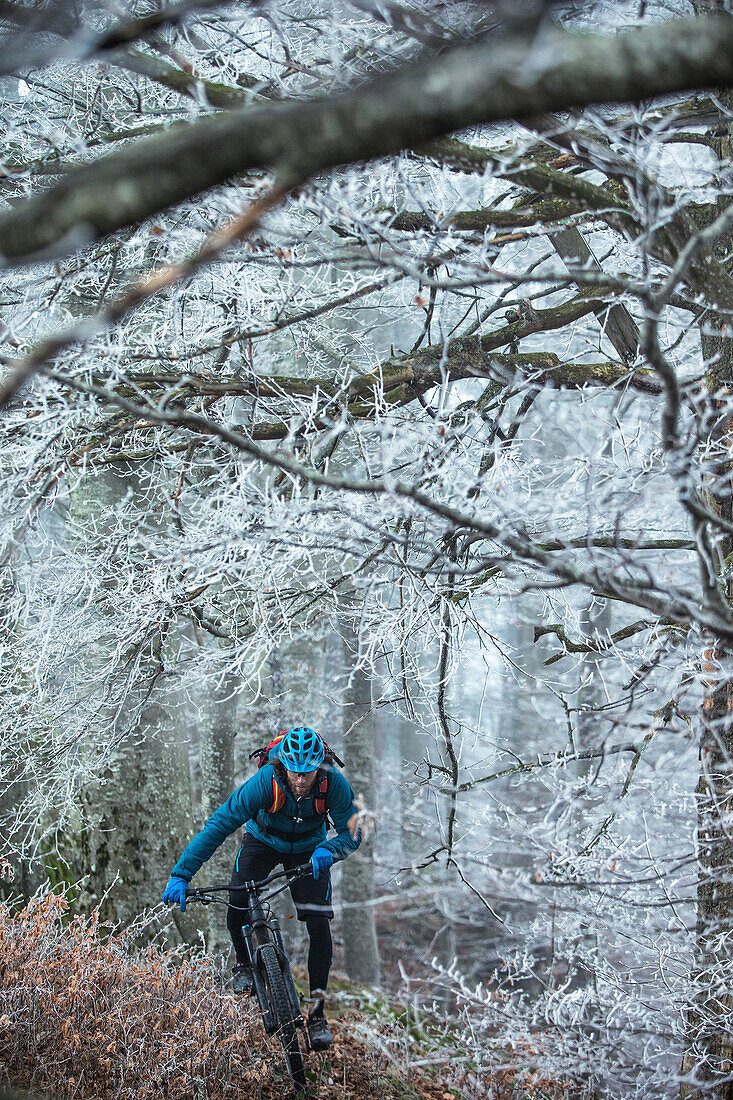 Junger Mann fährt mit seinem Fahrrad durch einen mit Frost bedeckten Wald, Allgäu, Bayern, Deutschland