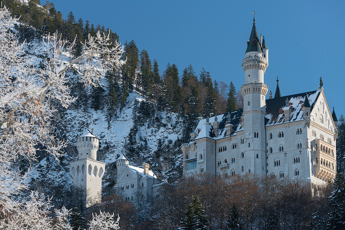 Schloss Neuschwanstein, Schwangau, Allgäu, Bayern, Deutschland