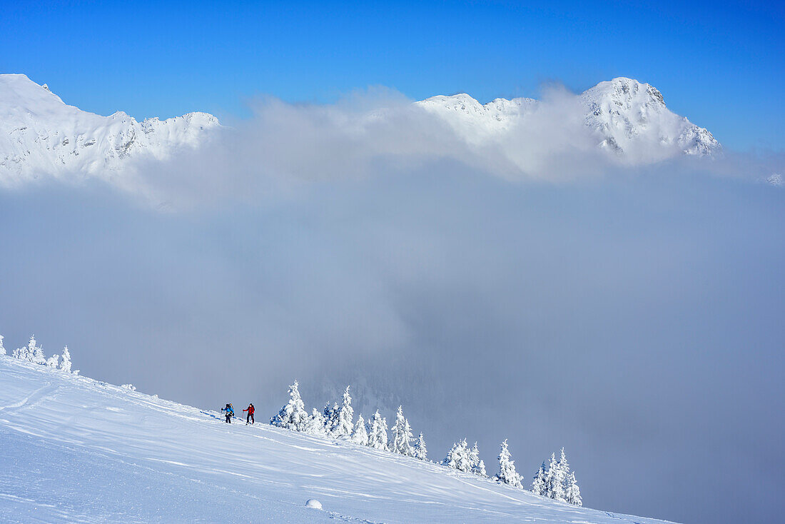 Two persons backcountry skiing in front of fog, Scheinbergspitze, Ammergau Alps, Upper Bavaria, Bavaria, Germany