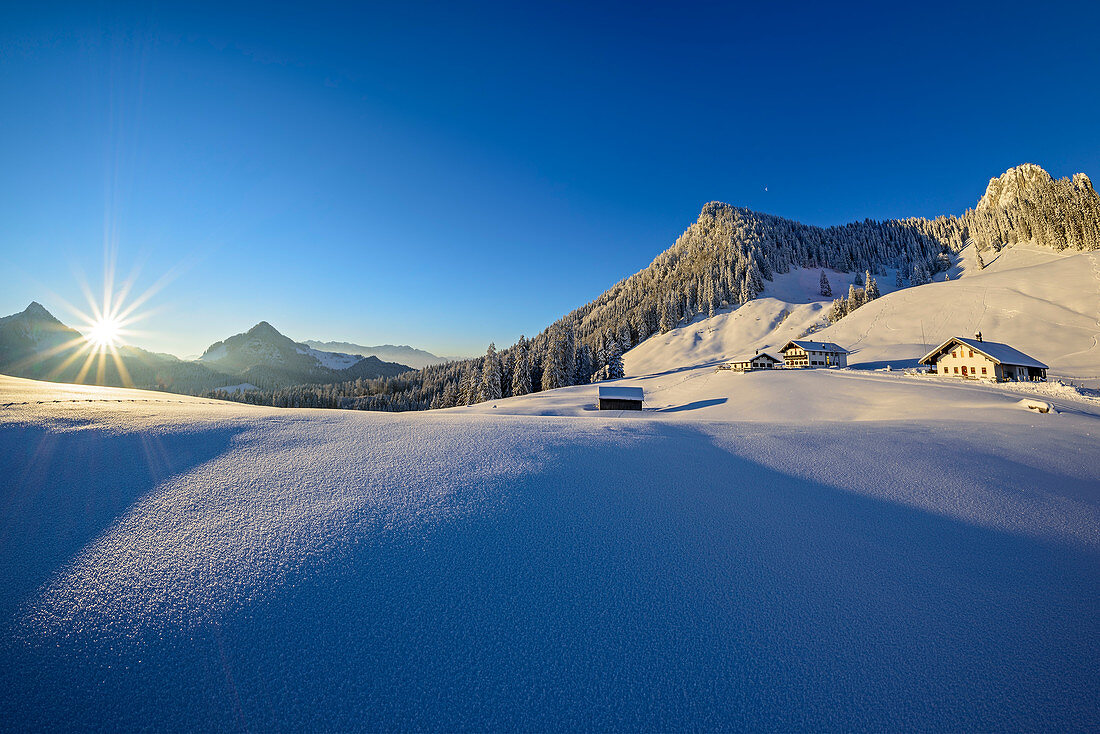 Snow covered meadows with alpine huts and Heuberg in background, Heuberg, Chiemgau Alps, Chiemgau, Upper Bavaria, Bavaria, Germany