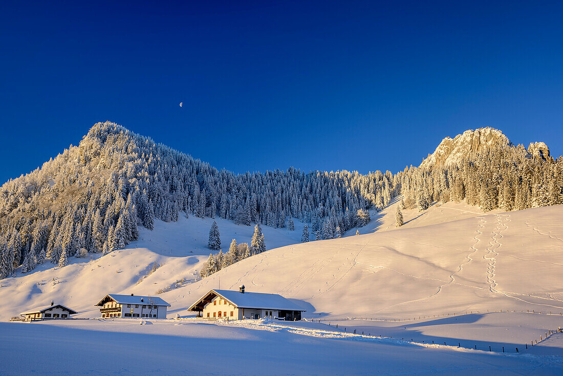 Verschneite Almgebäude mit Heuberg im Hintergrund, Heuberg, Chiemgauer Alpen, Chiemgau, Oberbayern, Bayern, Deutschland