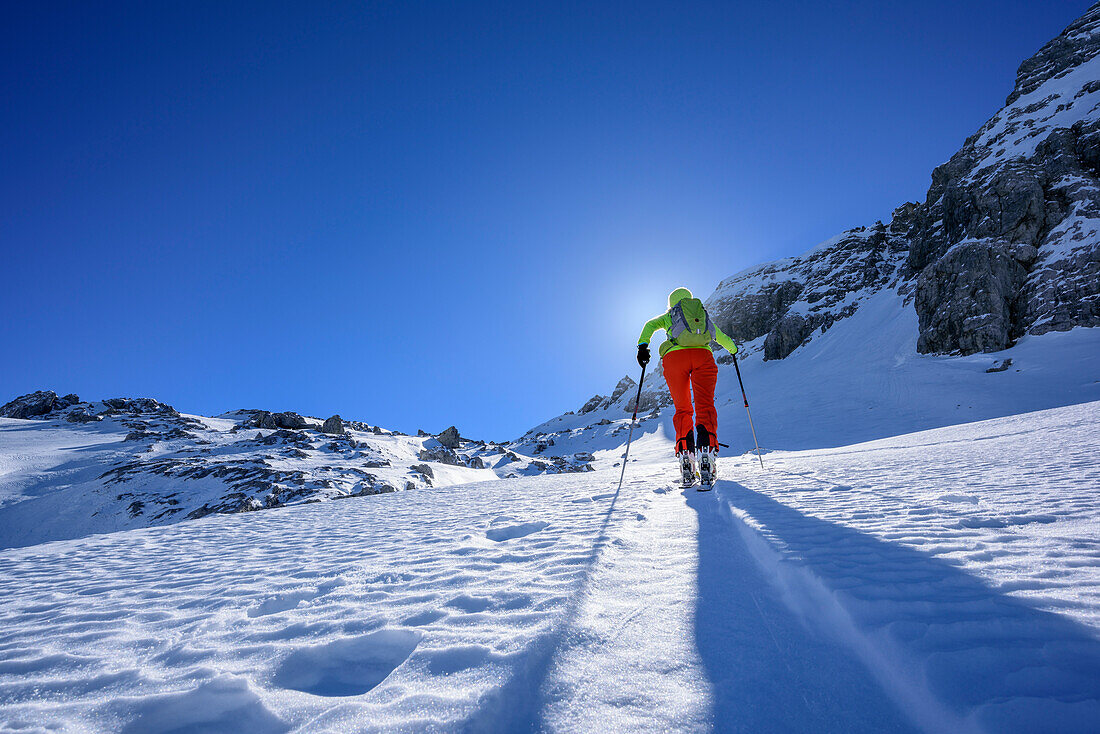 Woman backcountry skiing ascending towards Hochfeldscharte, Sittersbachtal, Hochfeldscharte, National Park Berchtesgaden, Berchtesgaden Alps, Upper Bavaria, Bavaria, Germany