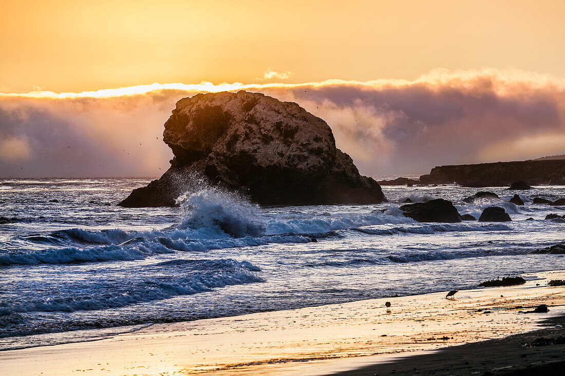 'Seashore at sunset, San Simeon State Park; California, United States of America'